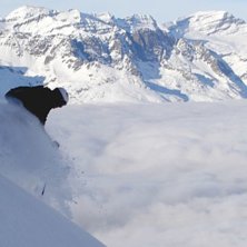 Fina sv&auml;ngar i grand montes. Foto: Johan Husgren. &Aring;kare: Reine Barkered.