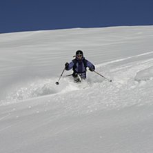 Foto: ?. &Aring;kare: Karin Jonasson.