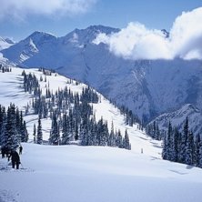Foto: M&aring;rten Johansson. &Aring;kare: Canadian Avalanche Association.
