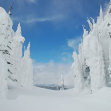 Foto: Madeline Lagergren.