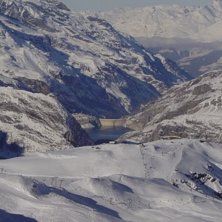 Mobbat.....
. Foto: Andre Persson. &Aring;kare: Natur.