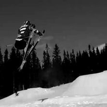 gilla&amp;#039;. Foto: Olov Nylander. &Aring;kare: Per Berglin.