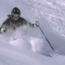 &Aring;terigen samma l&ouml;pa, samma fotograf, samma sjuka. Foto: Andrew Lerner (thanks again). &Aring;kare: Arvid Hejll.