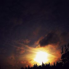 Foto: viktor malmberg.