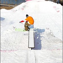 En svanstryckning p&aring; flatboxen.. Foto: Jesper Andersson St&aring;hl. &Aring;kare: Gustav Fr&auml;ndfors.