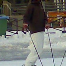 Foto: H&aring;kan Nilsson (min pappa :P). &Aring;kare: Jonatan Hedman.