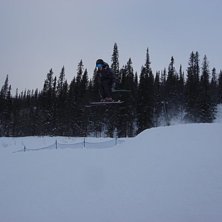 Foto: Mats Gr&ouml;nberg. &Aring;kare: Matilda Gr&ouml;nberg.