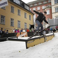 Winter Show i Kungstr&auml;dg&aring;rden 2014.. Foto: Hedda Berander.