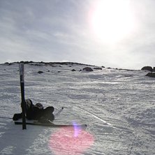 Vila lite granna. Foto: H&aring;kan Andersson. &Aring;kare: Micke Andersson.