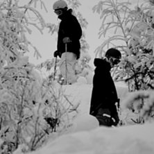 Snowflakes in june. Foto: Christian Kahlbom.