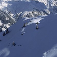 Foto: Martin S&ouml;derqvist. &Aring;kare: Daniel Johansson.