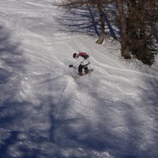 finns inget b&auml;ttre &auml;n lite puder i skogen :-). &Aring;kare: Ludvig von Schewelov.