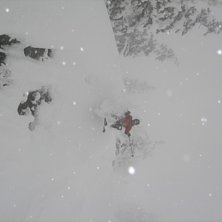 dumpade typ i en vecka s&aring; de blev mycket skogs&aring;k. Foto: Bo Liljefors. &Aring;kare: Nicklas Haglund.