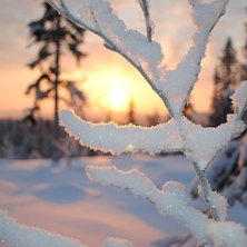 Foto: Linn &Ouml;stlund.