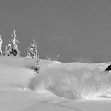Foto: Hilla aspman. &Aring;kare: Katarina persson.