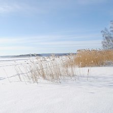 Foto: Linn &Ouml;stlund.