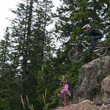 Foto: Mikael Englund. &Aring;kare: Johan Lilja.