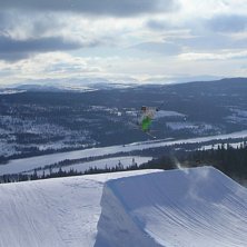 sw 540 Mute. Foto: Thege. &Aring;kare: Anden Klingvall.