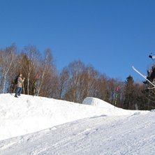 Daffy. Foto: Jessica Holgersson. &Aring;kare: Jimmy Schi&ouml;ld.