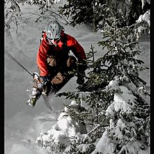 Nice little tree move. Foto: Rob Hamilton-Smith. &Aring;kare: Anders.