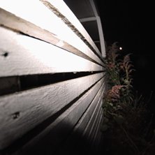 testar nya samyang 8mm p&aring; ett staket!. Foto: Jag (Max Larsson.