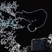 maah... Foto: Nicke. &Aring;kare: Max.