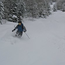 Foto: Dwarf banana Hanna. &Aring;kare: P&auml;r.