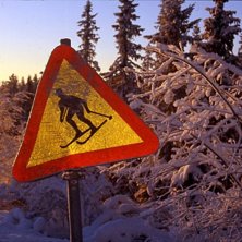 Foto: H. Severed. &Aring;kare: V&auml;gverket.