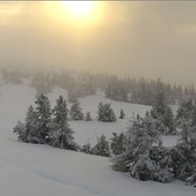 Solgl&oslash;tt nysn&oslash; i dag.
4 heiser og 14 kilometer l.