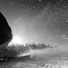 Foto: Fredrik Nordqvist. &Aring;kare: Ulf Hammarmyr.