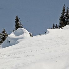 Full fart p&aring; Martin. Det brukar g&aring; lika fort upp. Foto: Bj&ouml;rn Bonthron. &Aring;kare: Martin.