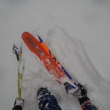 Salomon QST 106 Foto