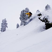 Foto: Maria J&ouml;nsson. &Aring;kare: Christian &Aring;kesson.