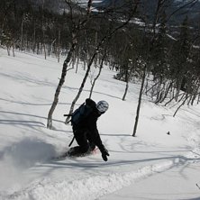 Bortanf&ouml;r konsum. Foto: Daniel forsberg. &Aring;kare: tok olof.