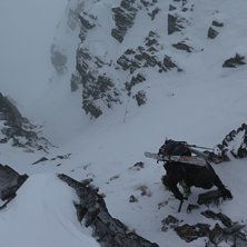Axel p&aring; tunt sn&ouml;t&auml;cke. Foto: tryggve tir&eacute;n.