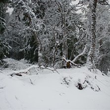 Sjukt f&ouml;r att vara i mitten av november!. Foto: Jim Andersson.