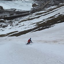 S&auml;songens n&auml;stn&auml;stn&auml;stn&auml;stn&auml;stn&auml;stn&auml;stn&auml;s. Foto: tryggve tir&eacute;n.