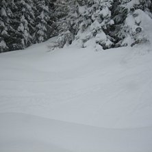 Foto: Marcus Jarl&ouml;. &Aring;kare: Tobias Rydberg.