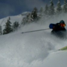 D&aring;lig kvalit&eacute; men man f&aring;r en aning om et iallef. Foto: David. &Aring;kare: Martin.