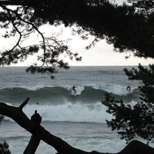 Foto: Johan Isaksson.