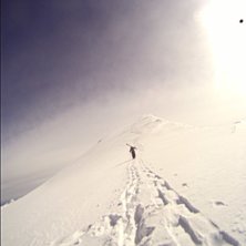 Foto: Henrik Hedlund.