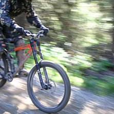 Foto: Roger Hansson. &Aring;kare: Mikaela Sunneg&aring;rdh.