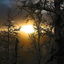 Rikigt nice julafton!. Foto: Sara.