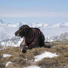 Foto: Johan Westman. &Aring;kare: Lovis.