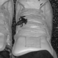 en pytteliten groda . Foto: Jag.