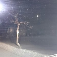 fint p&aring; morgenen
Ny tr&aring;kket og det sn&oslash;r. lite v.