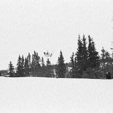 Foto: tommy &aring;sberg. &Aring;kare: petter fridh.