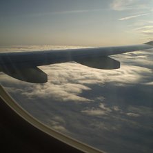 Flying to Florida.