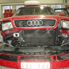 kom inte hela v&auml;gen.... Foto: Jag. &Aring;kare: Ett par stycken....