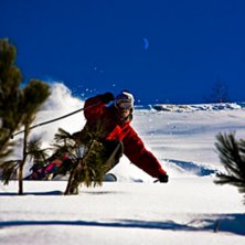 Foto: Patrik Ohlsson. &Aring;kare: Mathias Gschwantner.